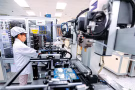 World Bank: Một tập đoàn FDI ngành lương thực đầu tư thêm 180 triệu USD vào Việt Nam