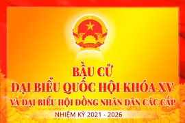 TP. HCM có 39/50 ứng viên đại biểu Quốc hội đạt tín nhiệm trên 50%