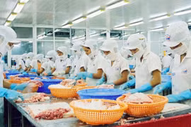 Không để đứt gãy chuỗi sản xuất, tiêu thụ nông sản