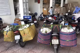 Vĩnh Long: Thuốc lá nhập lậu được ngụy trang trong các giỏ đựng trái cây