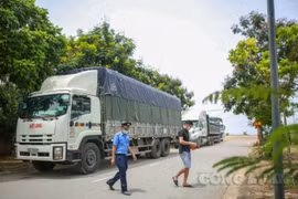 Hà Nội: Xe đầu kéo quá tải 50-100%, bị xử phạt 36 triệu đồng trên tuyến đê Phù Đổng
