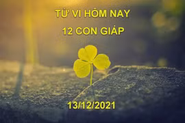 Tử vi hôm nay 13/12/2021, thứ 2 ngày 10/11 âm lịch của 12 con giáp