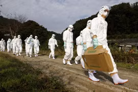 Trung Quốc phát hiện người nhiễm cúm gia cầm H5N6, tăng cường kiểm tra COVID-19