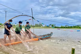 Đằng sau hàng chục tấn cá tươi, rau xanh… công an An Giang gửi tặng người dân