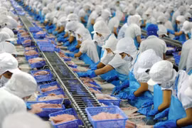Đã có 95% doanh nghiệp trên địa bàn TP. HCM đăng ký hoạt động trở lại