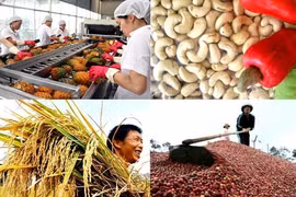 Thúc đẩy công tác chế biến và phát triển thị trường nông sản