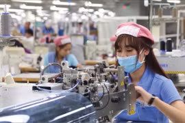 Các doanh nghiệp vừa và nhỏ tại Việt Nam đang “đói” vốn