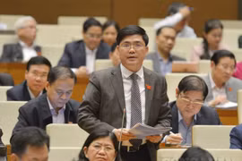 Đại biểu Quốc hội: Cử tri còn băn khoăn về tính hiệu lực trong hoạt động giám sát của Quốc hội