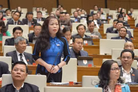 Đại biểu Quốc hội lo ngại về hiểm họa mang tên “tham nhũng chính sách”