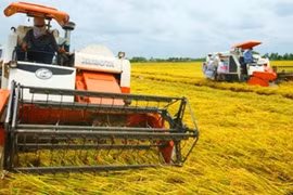 Việt Nam giữ ổn định 3,5 triệu ha đất trồng lúa