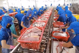 VASEP đề nghị hạ quy định kháng sinh trên sản phẩm thủy sản