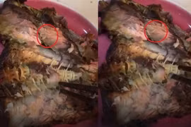 Cửa hàng thực phẩm sạch CleverFood bị phạt 17 triệu đồng vì bán cá kho có giòi