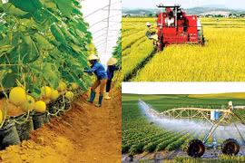 Gỡ khó cho việc cấp phép, kiểm tra chất lượng lĩnh vực nông nghiệp và phát triển nông thôn