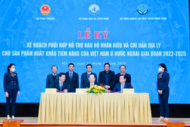 Vải thiều, xoài quả, nhãn quả và long nhãn được hỗ trợ bảo hộ nhãn hiệu và chỉ dẫn địa lý