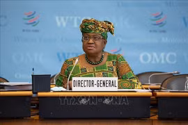 Tổng giám đốc WTO: Tình trạng bất bình đẳng về vaccine vẫn còn nhiều thách thức
