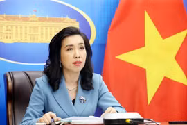 Việt Nam đề nghị bảo vệ an toàn và chăm sóc y tế cho người Việt Nam tại Singapore