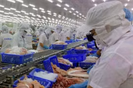 Xuất khẩu thuỷ sản khó duy trì đà tăng trong nửa cuối năm do dịch Covid - 19