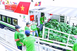 Cung ứng hàng hóa mùa dịch tại TP.HCM: Bài học về kịch bản và kho dự trữ thực phẩm!
