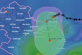 Quảng Ninh: Dừng cấp phép tàu ra biển từ 6h ngày 23/7
