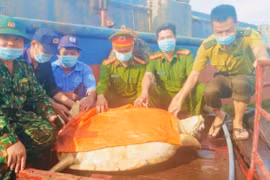 Hà Tĩnh: Thả rùa quý hiếm nặng hơn 80 kg về biển
