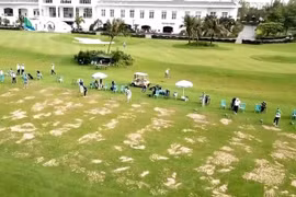 Thanh Hóa: Tạm dừng hoạt động sân golf, các sân tập golf để phòng chống dịch Covid-19