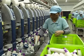 TP. HCM thành lập nhóm "xử lý nhanh" các vướng mắc của doanh nghiệp