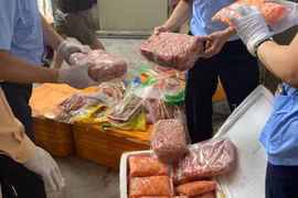 Hà Nội: Phát hiện kho hàng nội tạng động vật bốc mùi hôi thối