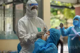 Yên Bái cử đoàn công tác hỗ trợ TP. Hồ Chí Minh chống dịch