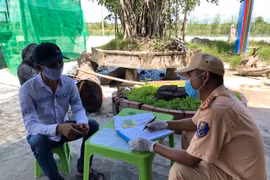 Núp trong thùng xe tải nhằm trốn chốt kiểm tra dịch Covid-19