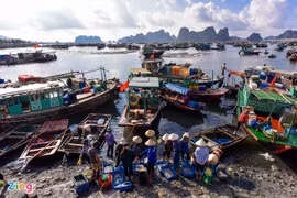 Quảng Ninh đóng cửa chợ đầu mối hải sản Bến Do để phòng, chống dịch Covid-19