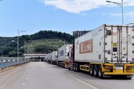 Các loại quả tươi Việt Nam xuất khẩu sang Trung Quốc qua cửa khẩu Lào Cai đều tăng