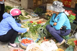 Giá rau xanh ở Hà Nội tăng sau thời gian “giải cứu nông sản”