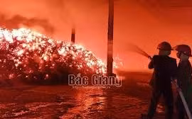 Bắc Giang: Gần 100 người tham gia chữa cháy cho xưởng chế biến gỗ