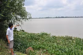 Sở Tài nguyên - Môi trường tỉnh An Giang đề xuất hủy kết quả đấu giá mỏ cát 2.800 tỷ đồng
