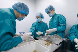 Việt Nam phát hiện bệnh nhân mang virus SARS-CoV-2 biến thể mới