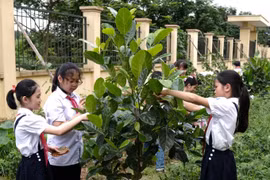 Chiến lược quốc gia về tăng trưởng xanh: Xanh hóa lối sống, thúc đẩy tiêu dùng bền vững