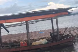 Quảng Ninh: Đi câu cá ở biển, người đàn ông bị sét đánh tử vong