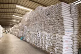 Chuẩn bị “xuất” kho gạo đợt 2, hỗ trợ 4,74 triệu lao động nghèo tại TP.HCM