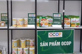 Bộ Khoa học và Công nghệ: Nhà nước sẽ đầu tư 195 tỷ đồng phát triển tài sản trí tuệ
