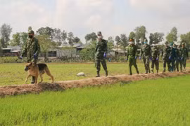 Đã bắt được đối tượng trốn cách ly tại Campuchia để về Việt Nam