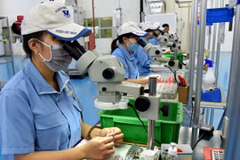 Tạo không gian cho "đại bàng nội" phát triển
