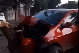 Ô tô tông đổ cây xanh, tài xế tử vong