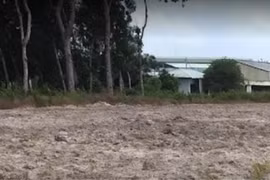 Không hướng dẫn, không trả lời rồi đột ngột thu hồi gần 600ha đất của doanh nghiệp