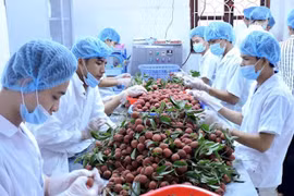 Việt Nam đặt mục tiêu xuất khẩu nông sản đạt 60 tỷ USD vào năm 2030
