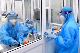 Sáng ngày 26/1: Việt Nam không ghi nhận ca mắc Covid-19 ở cộng đồng