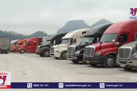 Hỗ trợ nông sản tránh ùn tắc vì dịch