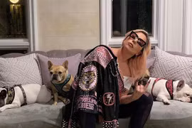 Lady Gaga đã tìm được chó cưng an toàn sau khi treo thưởng “khủng”