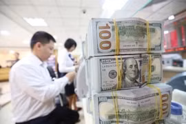 Tỷ giá ngoại tệ ngày 28/2: Đồng USD tăng giá phiên cuối tuần