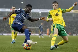 Nhận định trận Crystal Palace vs Norwich, 22h ngày 28/12