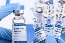 Phó Thủ tướng Vũ Đức Đam đồng ý đề nghị của TP HCM về việc mua và nhập khẩu vaccine